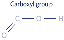 Carboxyl group