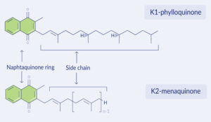 K1-phylloquinone and K2-menaquinone